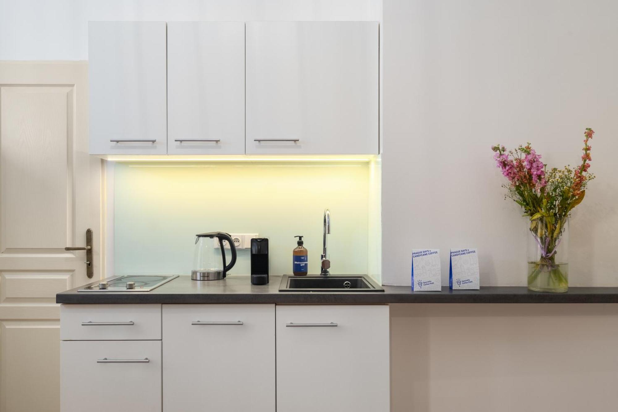Stru House By Prague Days - Luxurious Apartments Next To National Theatre 외부 사진